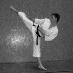 Karate kick demonstration